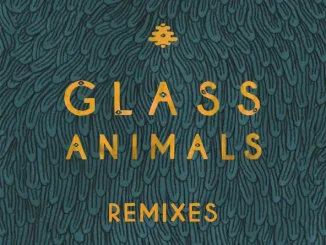 Glass Animals – Remixes