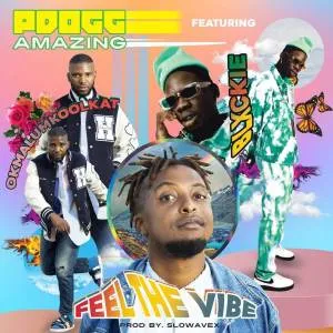 PDogg Amazing - Feeling The Vibe Ft. Okmalumkoolkat & Blxckie