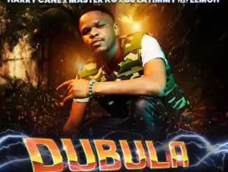 HarryCane x Master KG & DJ Latimmy - Dubula (Nyusa Nyusa) Ft. Eemoh