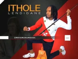 Ithole lendidane – Umnyamanambana