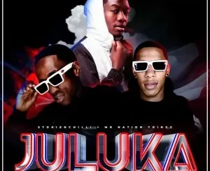 StokieNChilli - Juluka ft. Mr Nation Thingz, TNK MusiQ & Absolutesoulx