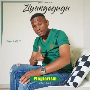 Ziyangegugu - Plagiarism