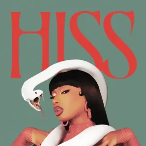 Megan Thee Stallion - HISS