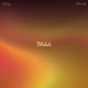 CKay - Wahala (feat. Olamide)