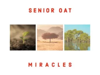 Senior Oat – Find You (Radio Edit) ft Alice Orion