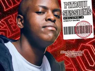 Gaziba – Pitbull Sessions Vol 2