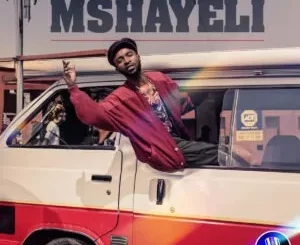 Album: Lindough - Mshayeli