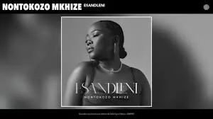 Nontokozo Mkhize – Esandleni